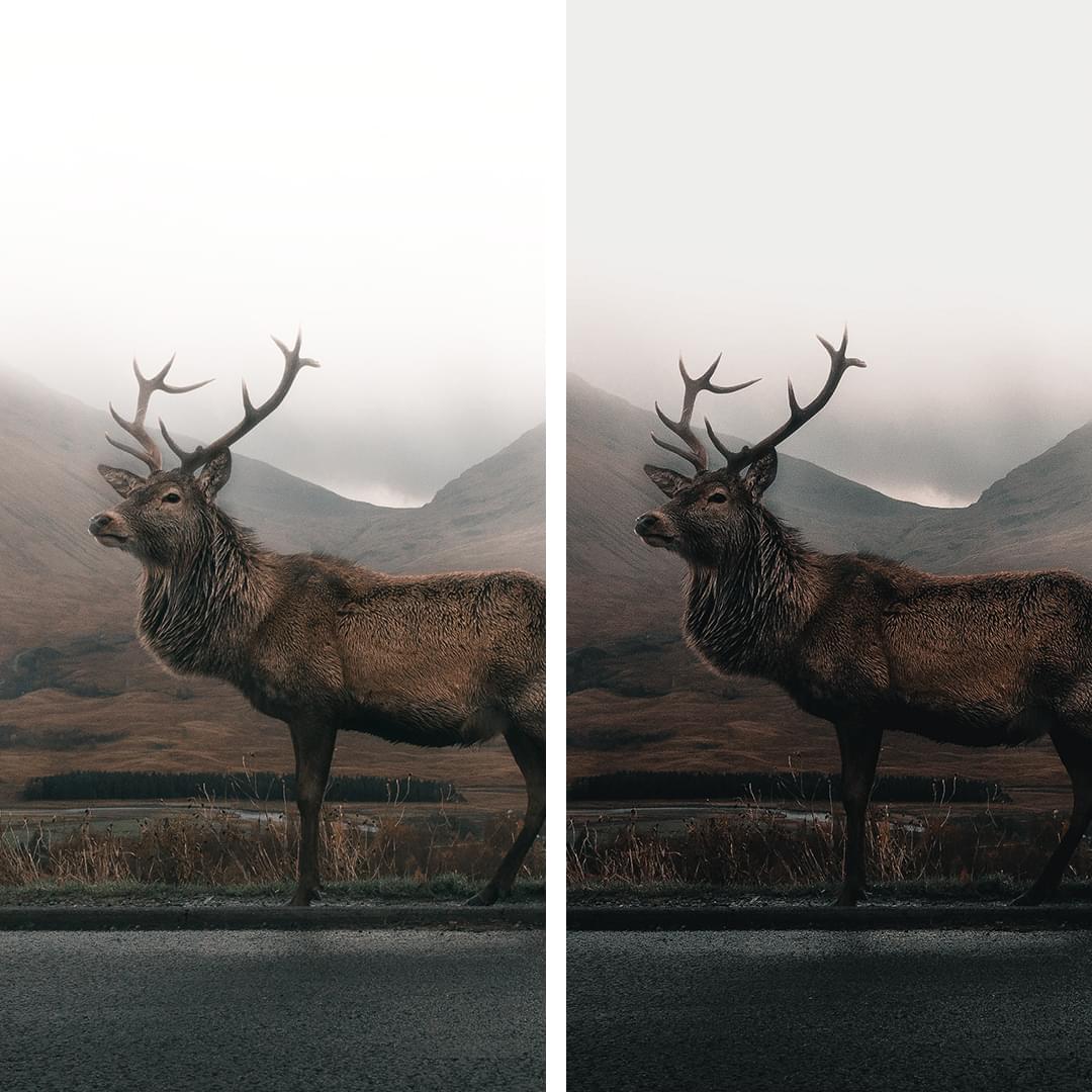 Dark & Moody Collection Lightroom Presets Review